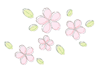 桜の挿絵